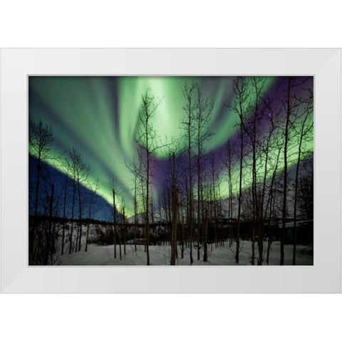 Aurora Borealis IX White Modern Wood Framed Art Print by Malvin, Larry