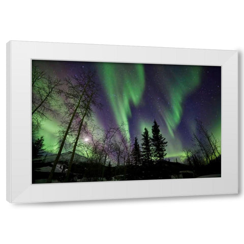 Aurora Borealis X White Modern Wood Framed Art Print by Malvin, Larry
