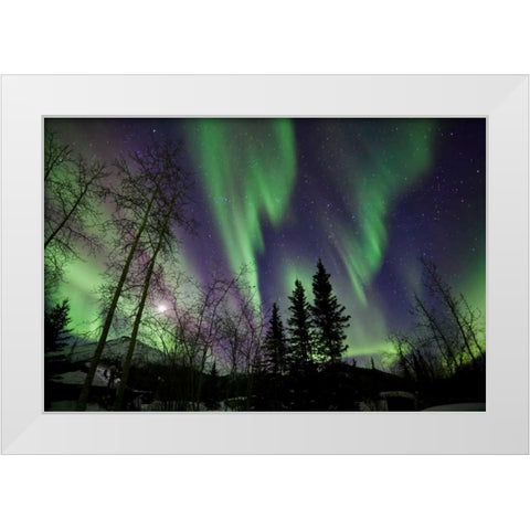 Aurora Borealis X White Modern Wood Framed Art Print by Malvin, Larry