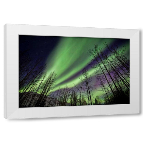 Aurora Borealis XI White Modern Wood Framed Art Print by Malvin, Larry