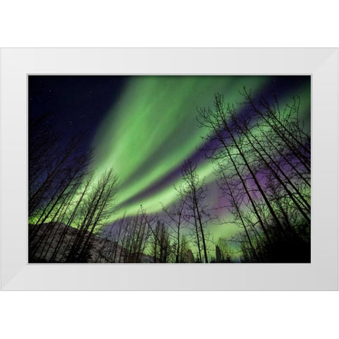 Aurora Borealis XI White Modern Wood Framed Art Print by Malvin, Larry
