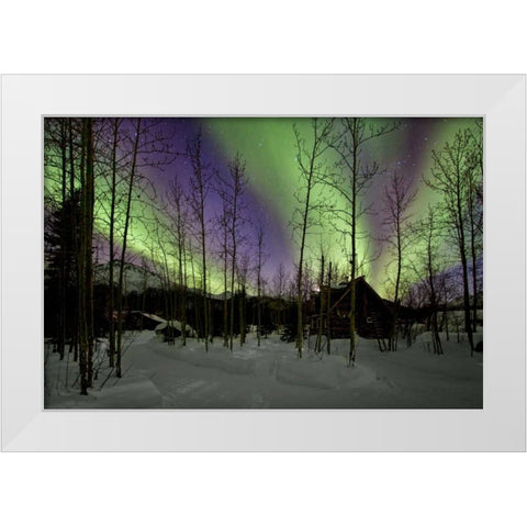 Aurora Borealis XII White Modern Wood Framed Art Print by Malvin, Larry