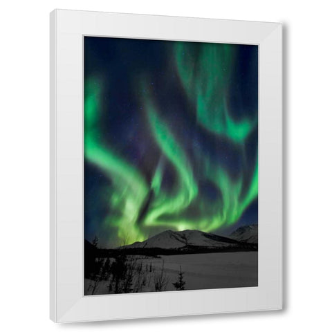 Aurora Borealis XIV White Modern Wood Framed Art Print by Malvin, Larry
