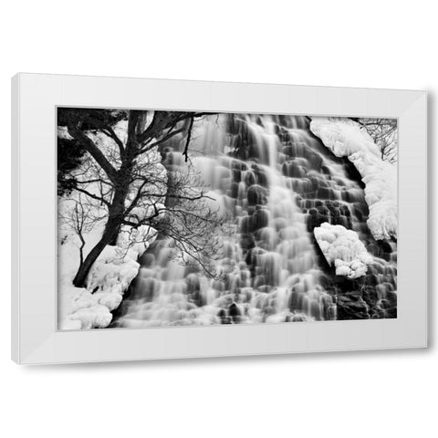 Oshinkoshin Falls II White Modern Wood Framed Art Print by Malvin, Larry