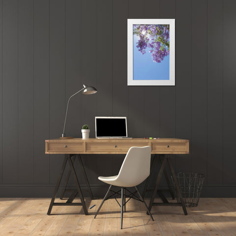 Jacaranda Tree I White Modern Wood Framed Art Print by Mahan, Kathy
