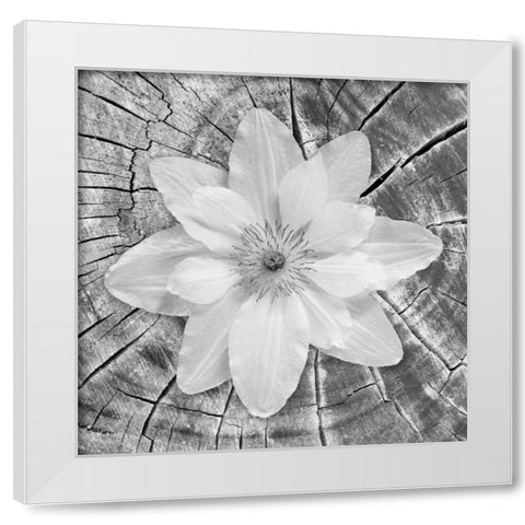 Bloom II White Modern Wood Framed Art Print by Mahan, Kathy