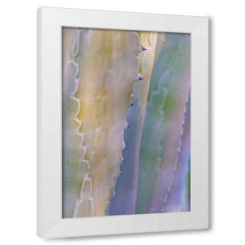 Agave I White Modern Wood Framed Art Print by Mahan, Kathy