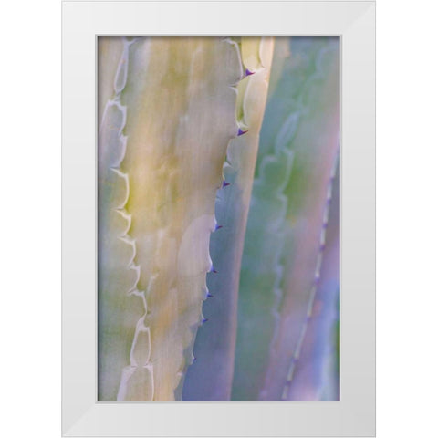 Agave I White Modern Wood Framed Art Print by Mahan, Kathy