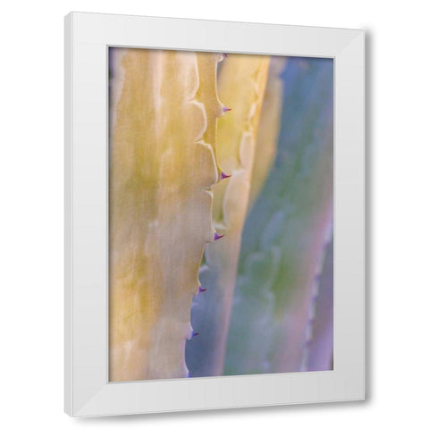 Agave II White Modern Wood Framed Art Print by Mahan, Kathy