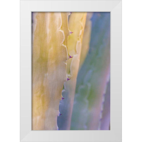 Agave II White Modern Wood Framed Art Print by Mahan, Kathy