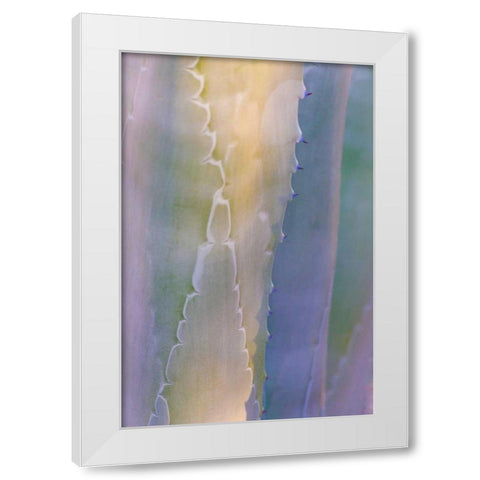 Agave III White Modern Wood Framed Art Print by Mahan, Kathy