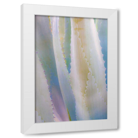 Agave IV White Modern Wood Framed Art Print by Mahan, Kathy