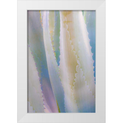 Agave IV White Modern Wood Framed Art Print by Mahan, Kathy