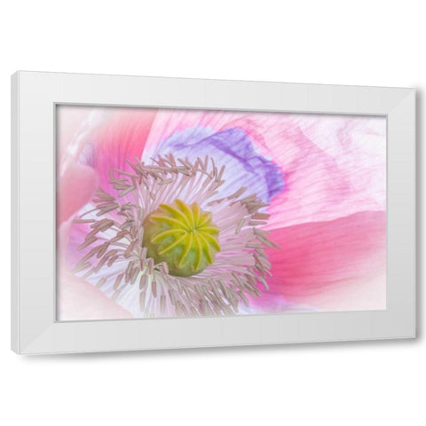 Poppy High Key I White Modern Wood Framed Art Print by Mahan, Kathy
