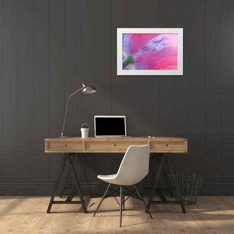 Pink Poppy I White Modern Wood Framed Art Print by Mahan, Kathy