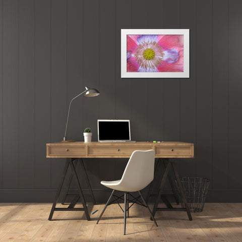 Pink Poppy II White Modern Wood Framed Art Print by Mahan, Kathy