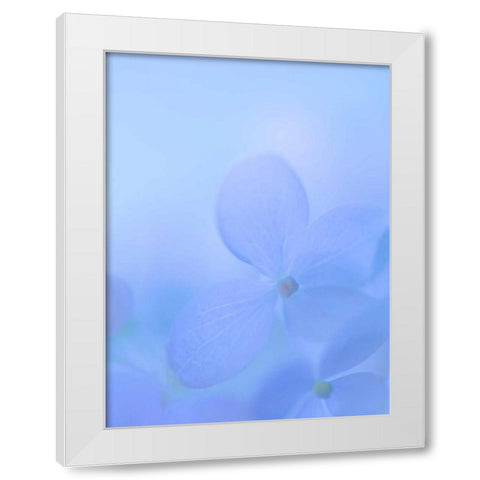 Hydrangea Paniculata I White Modern Wood Framed Art Print by Mahan, Kathy