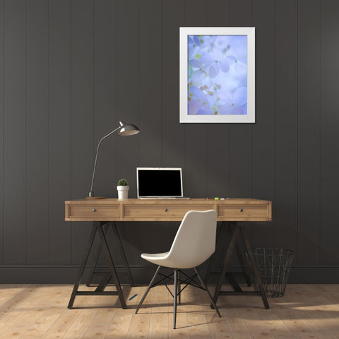 Hydrangea Paniculata II White Modern Wood Framed Art Print by Mahan, Kathy