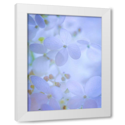 Hydrangea Paniculata II White Modern Wood Framed Art Print by Mahan, Kathy