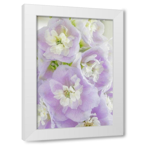 Delphinium Blossoms I White Modern Wood Framed Art Print by Mahan, Kathy