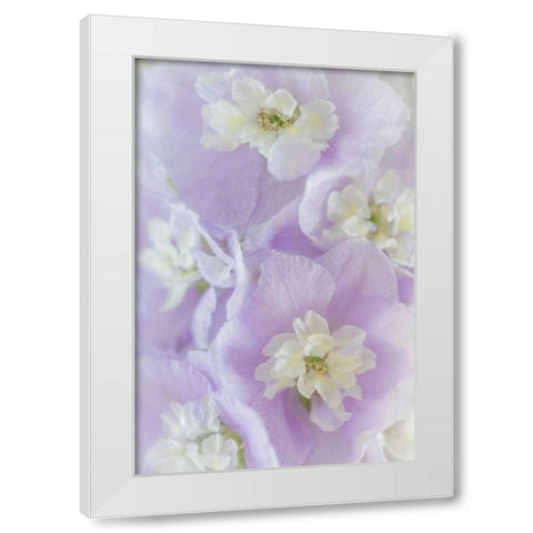 Delphinium Blossoms II White Modern Wood Framed Art Print by Mahan, Kathy