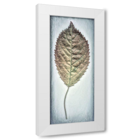 Cherry Leaf II White Modern Wood Framed Art Print by Mahan, Kathy