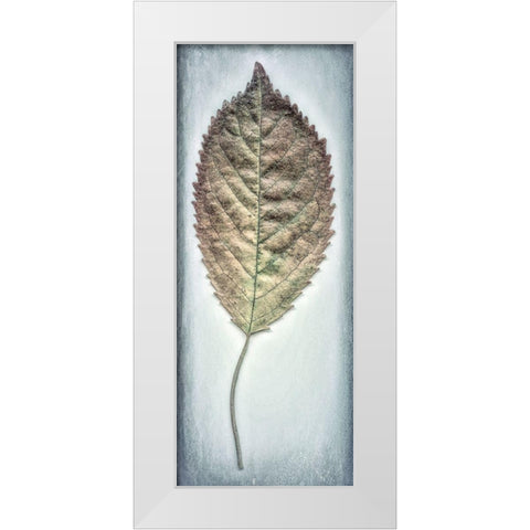 Cherry Leaf II White Modern Wood Framed Art Print by Mahan, Kathy