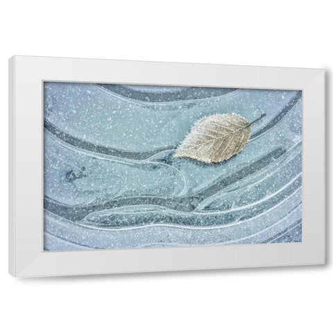 Frosty Leaf on Ice II White Modern Wood Framed Art Print by Mahan, Kathy
