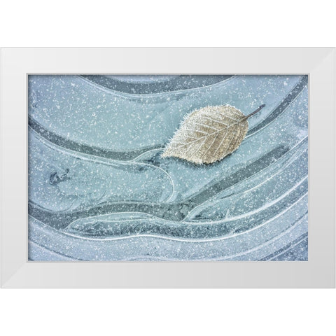 Frosty Leaf on Ice II White Modern Wood Framed Art Print by Mahan, Kathy
