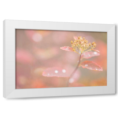Arctic Fall Colors White Modern Wood Framed Art Print by Mahan, Kathy