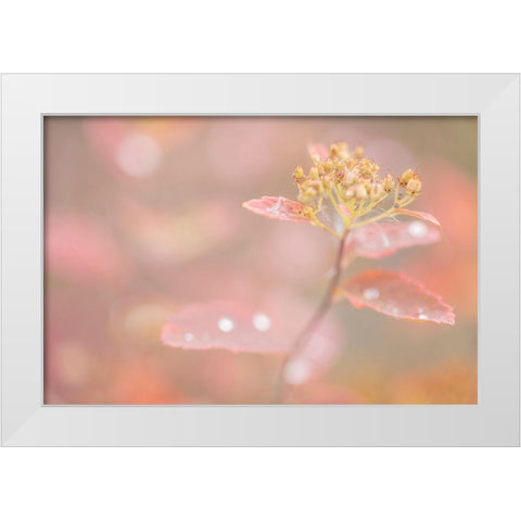 Arctic Fall Colors White Modern Wood Framed Art Print by Mahan, Kathy