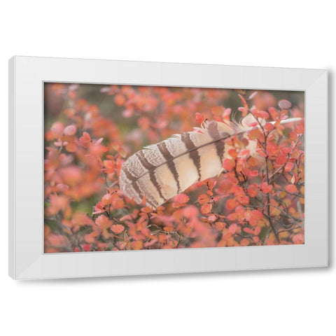 Owl Feather White Modern Wood Framed Art Print by Mahan, Kathy