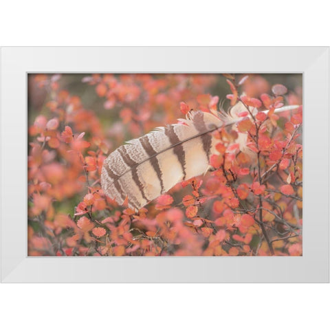 Owl Feather White Modern Wood Framed Art Print by Mahan, Kathy