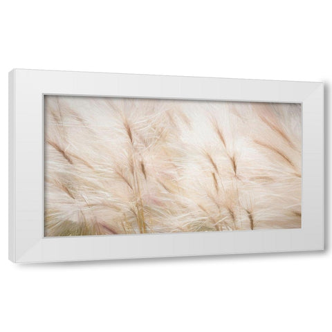 Foxtail Barley III White Modern Wood Framed Art Print by Mahan, Kathy