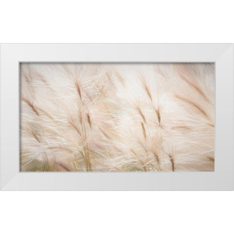 Foxtail Barley III White Modern Wood Framed Art Print by Mahan, Kathy