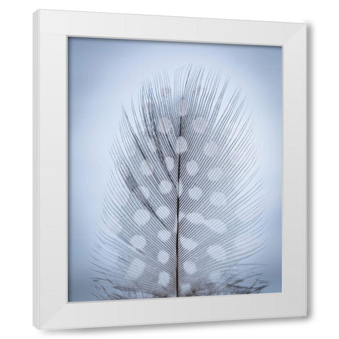 Feather Study I White Modern Wood Framed Art Print by Mahan, Kathy