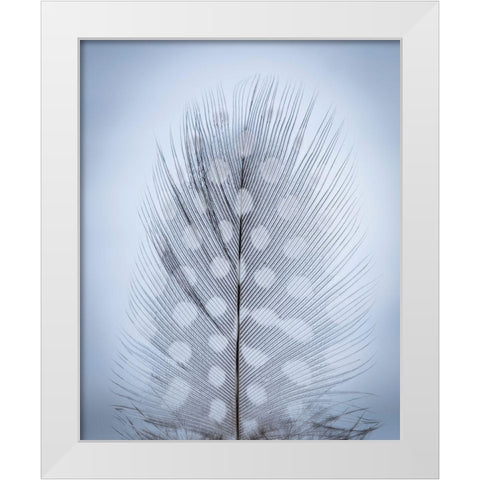 Feather Study I White Modern Wood Framed Art Print by Mahan, Kathy