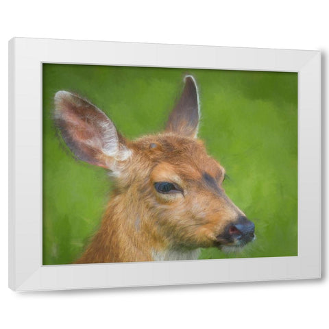 Blacktail Deer I White Modern Wood Framed Art Print by Mahan, Kathy