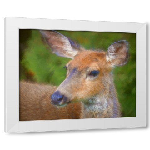 Blacktail Deer II White Modern Wood Framed Art Print by Mahan, Kathy