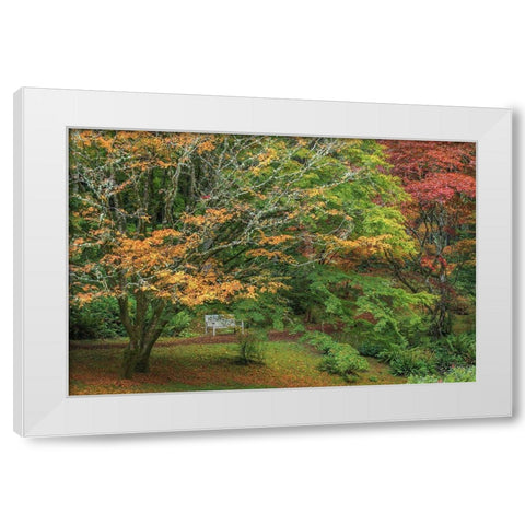Garden Path White Modern Wood Framed Art Print by Mahan, Kathy