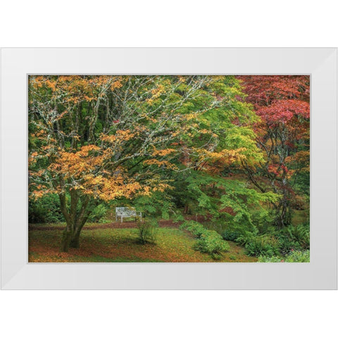 Garden Path White Modern Wood Framed Art Print by Mahan, Kathy