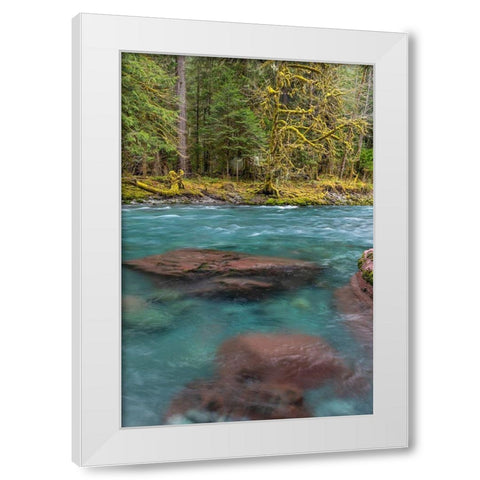 NF Skokomish River III White Modern Wood Framed Art Print by Mahan, Kathy
