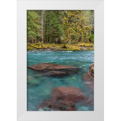 NF Skokomish River III White Modern Wood Framed Art Print by Mahan, Kathy