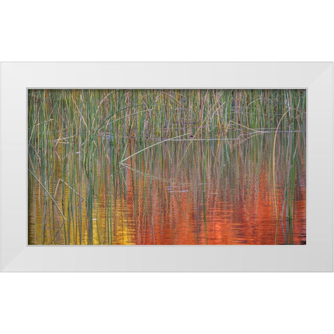 Fall Reflections I White Modern Wood Framed Art Print by Mahan, Kathy