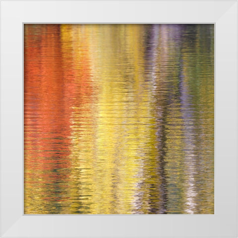 Fall Reflections IV White Modern Wood Framed Art Print by Mahan, Kathy