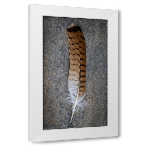 Feather Portrait III White Modern Wood Framed Art Print by Mahan, Kathy