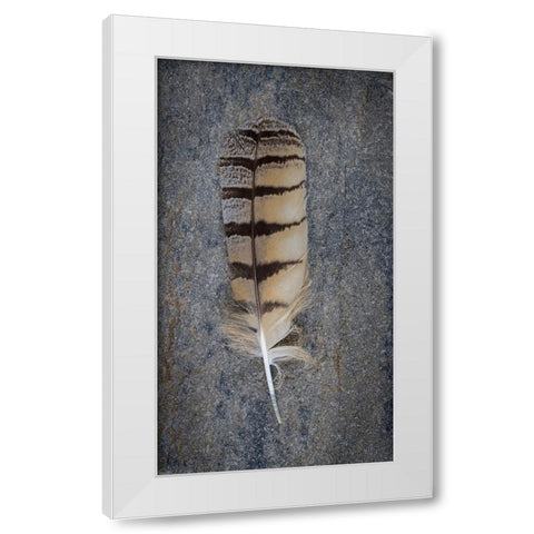 Feather Portrait IV White Modern Wood Framed Art Print by Mahan, Kathy