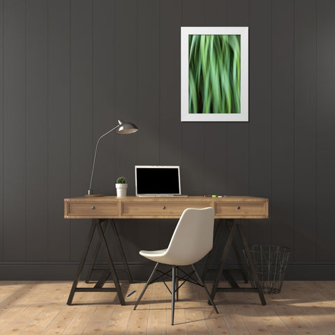 Grass Abstract White Modern Wood Framed Art Print by Mahan, Kathy