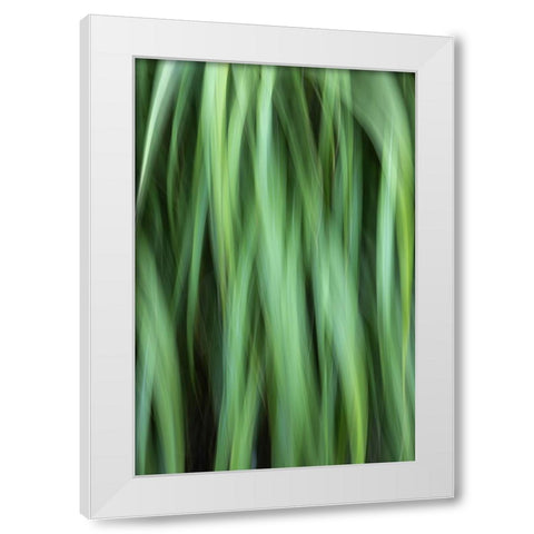Grass Abstract White Modern Wood Framed Art Print by Mahan, Kathy