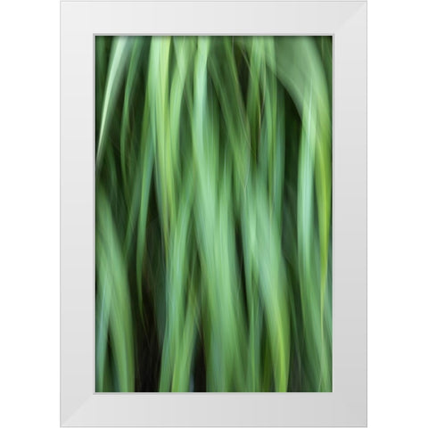 Grass Abstract White Modern Wood Framed Art Print by Mahan, Kathy